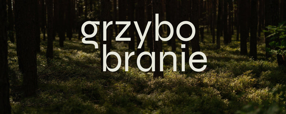 Grzybobranie